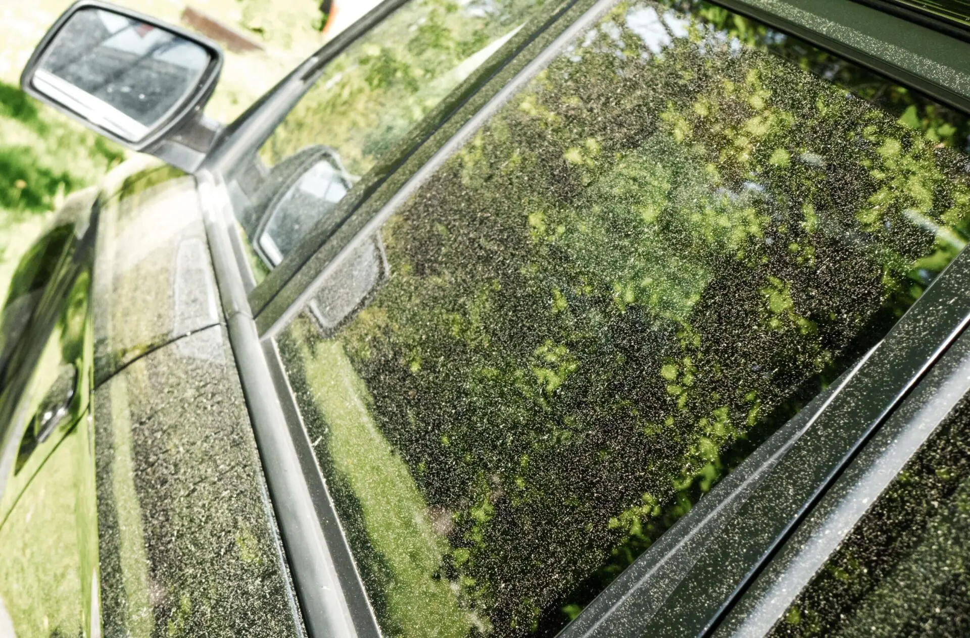 pollen on the surface of a black car that looks green because of how much pollen is on the car. It needs a car wash.